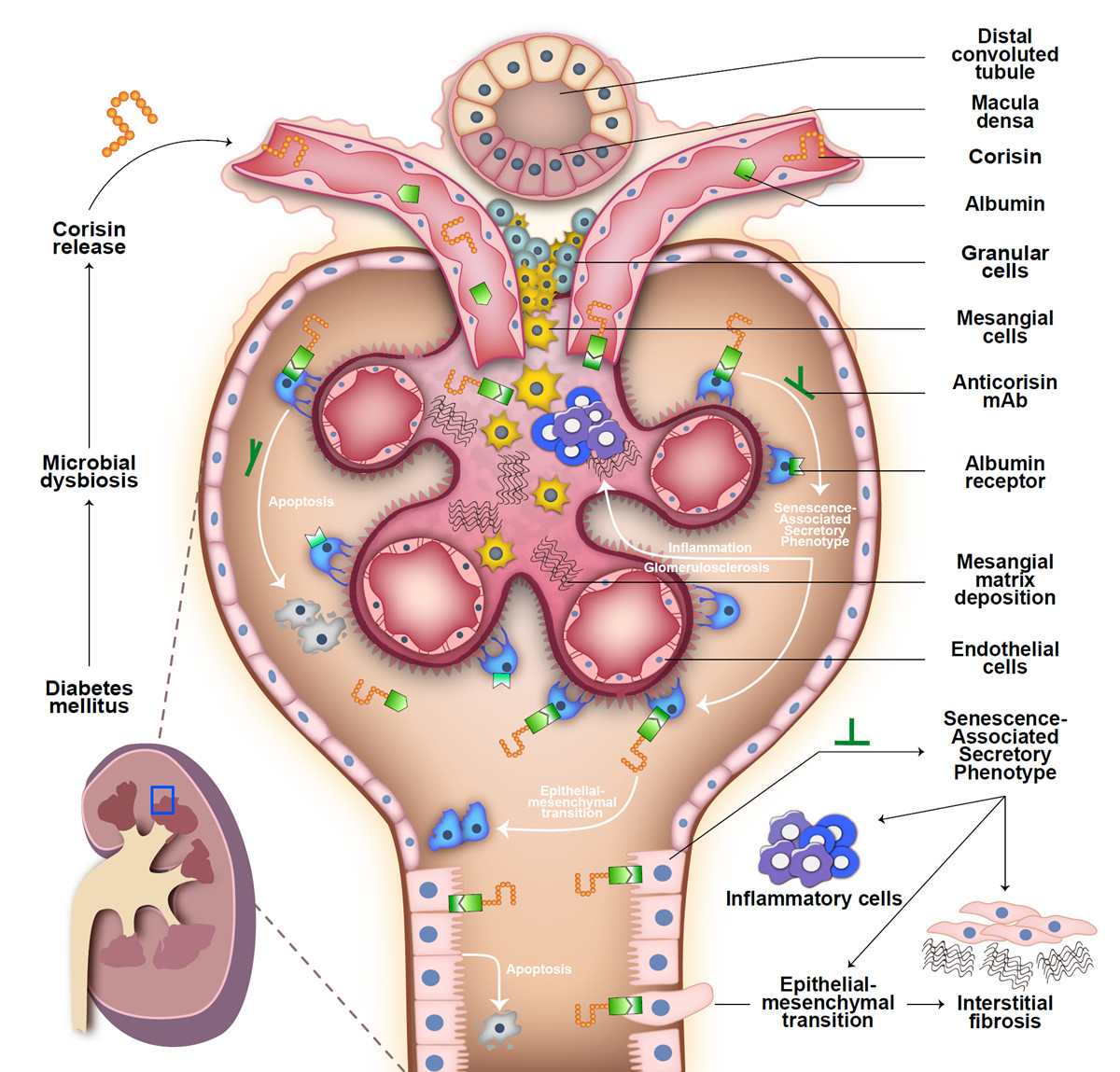 SCI论文图表制作